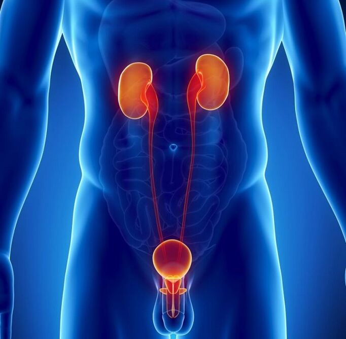 milyen krónikus betegségek befolyásolhatják a férfi potenciát